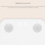 Mi  Body Composition Scale