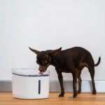 Petoneer Fresco Mini Plus Smart Pet Cat Fountain